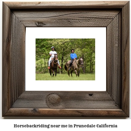 horseback riding near me in Prunedale, California